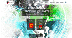 Desktop Screenshot of liga-fls.pl